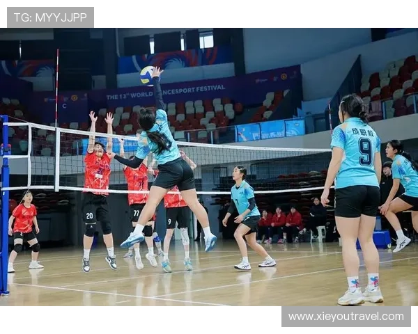 体育新闻网女排联赛（体育新闻网女排联赛视频）sports